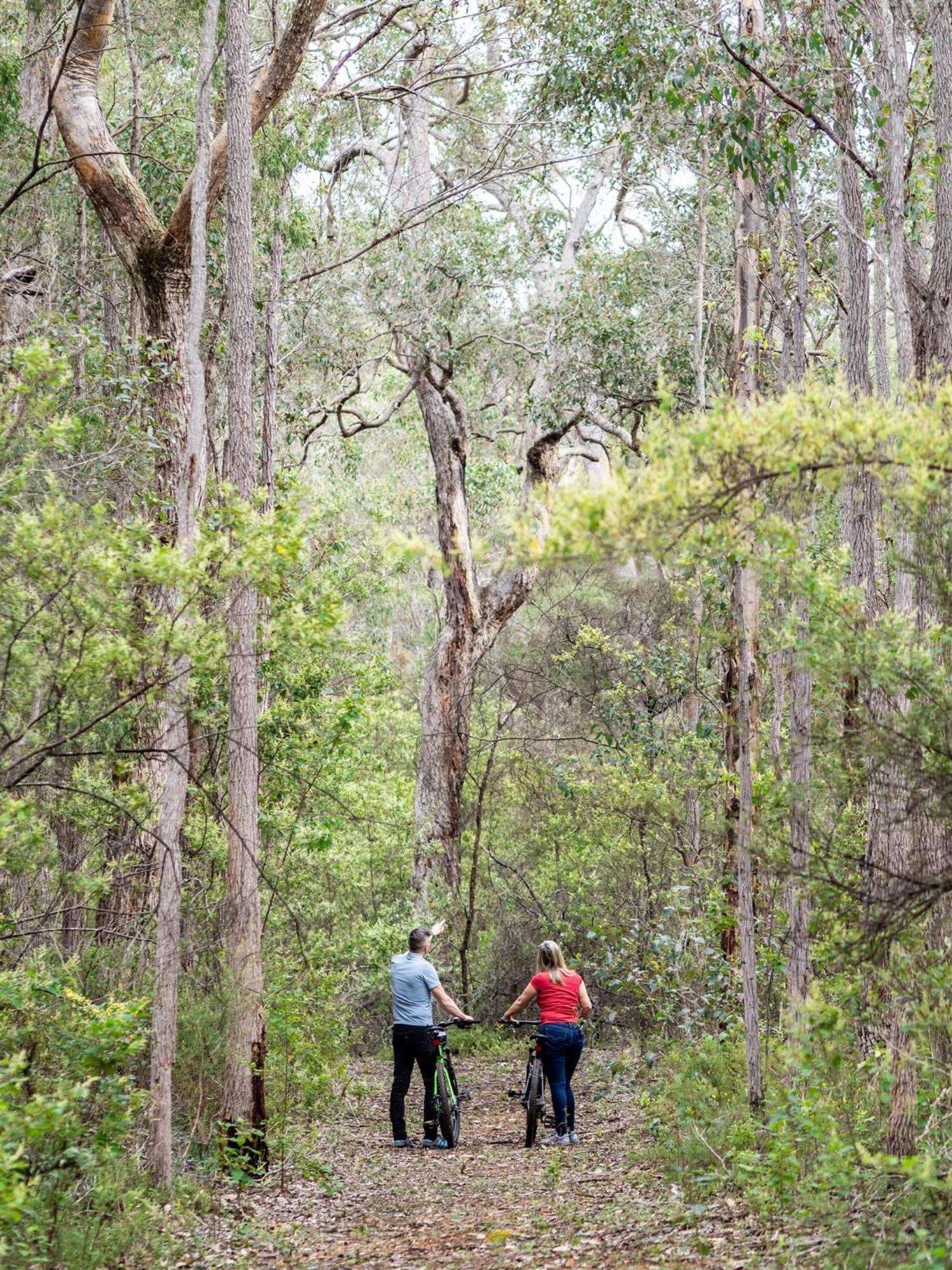Jarrah Grove Forest Retreat - Adults Only Luxury Chalet Rosa Glen Exterior photo